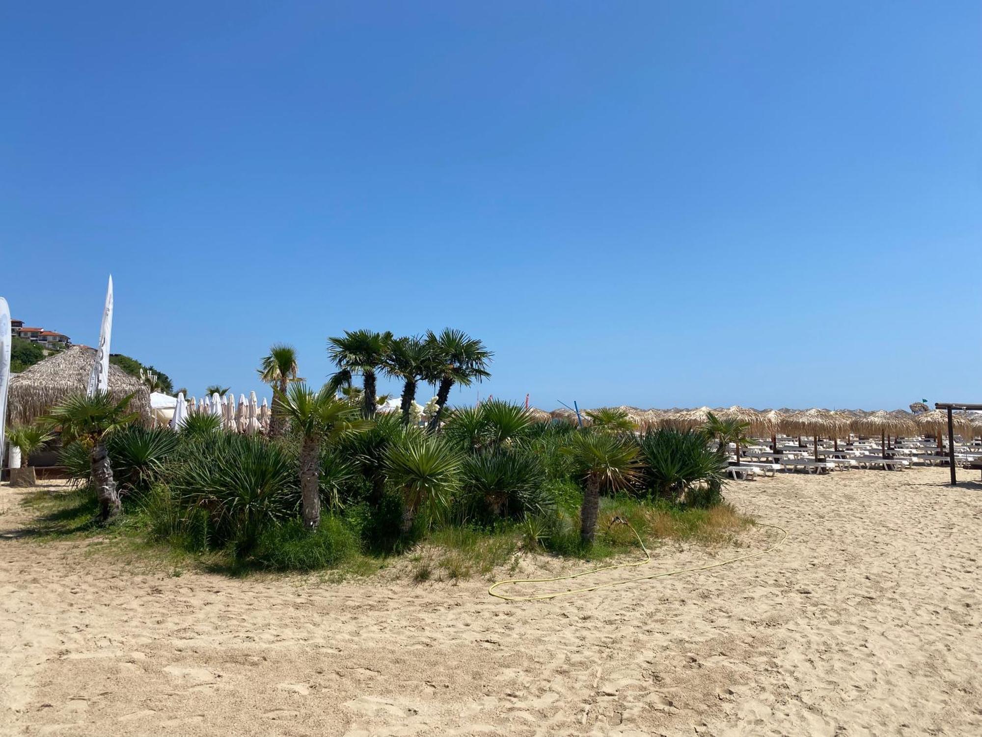 Fregata 16 Studio Sveti Vlas Exteriör bild
